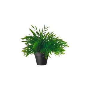 برگ سبز ایکیا FEJKA